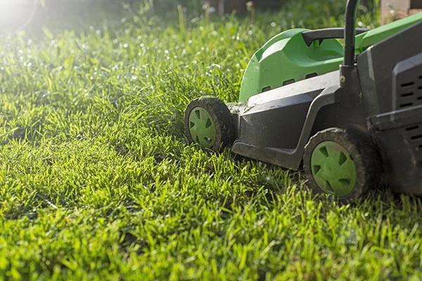 How Often to Mow a Lawn Port St. Lucie FL