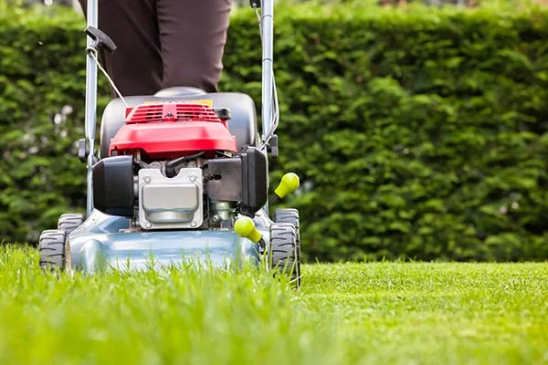 How Often to Mow a Lawn in Port St. Lucie FL