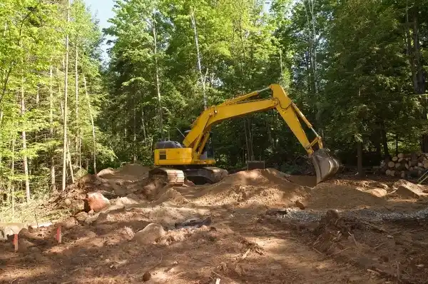 How To Clear Wooded Land Port St. Lucie FL
