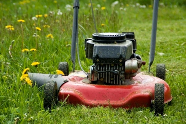 Mowing Service